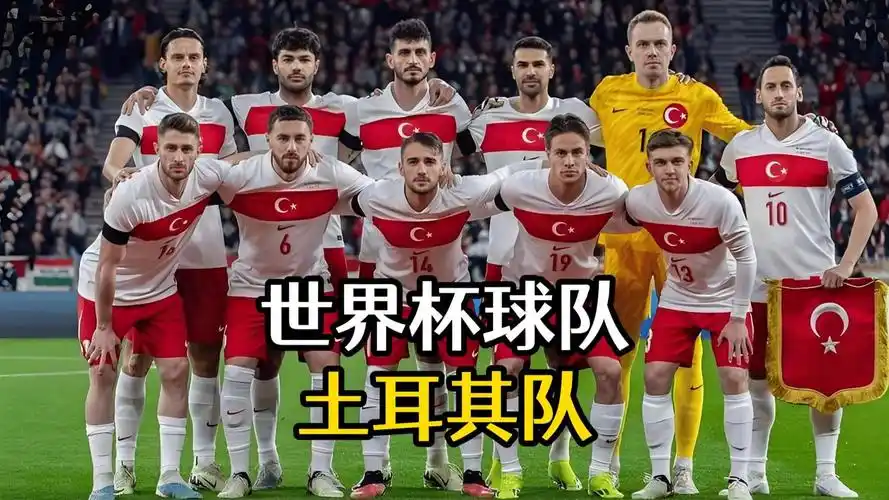 世界杯D组实力均衡争出线，土耳其携新黄金一代强势回归